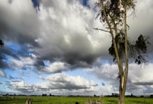 谢文能+高准翼不踢,泰山队5外援齐整出征客场,于金永只差在经验.