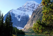 必赢Bwin官网：[图]英联杯-范迪克破门 利物浦总比分4-1热刺进决赛.