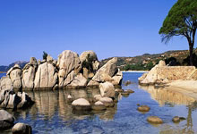 唯一申办国 英国料获2035年女足世界杯主办权.